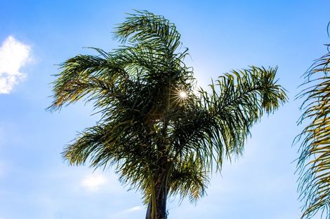 Photo of property in 174 Doncaster Drive, Papamoa Beach, Papamoa, 3118