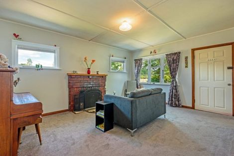 Photo of property in 409 Foxton Shannon Road, Foxton, 4893