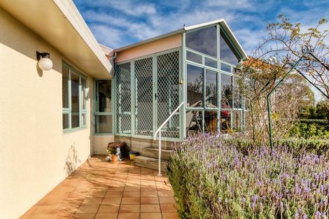 Photo of property in 3/42 Campbell Street, Havelock North, 4130
