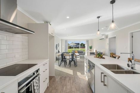 Photo of property in 68 Hinemoa Street, Levin, 5510