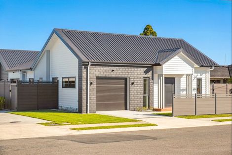 Photo of property in 166 Clifford Road, Lake Grassmere, Seddon, 7285