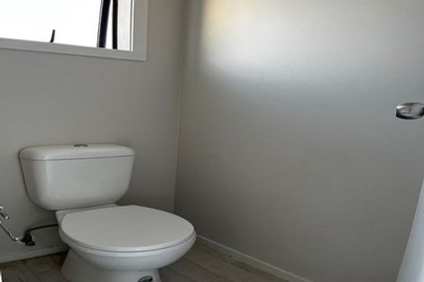 Photo of property in 53 Universal Drive, Henderson, Auckland, 0610