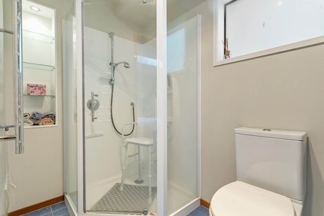 Photo of property in 23 Horotutu Road, Greenlane, Auckland, 1061