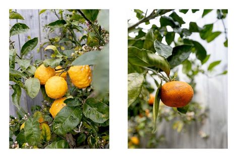 Photo of property in 3 Ibis Way, Welcome Bay, Tauranga, 3112