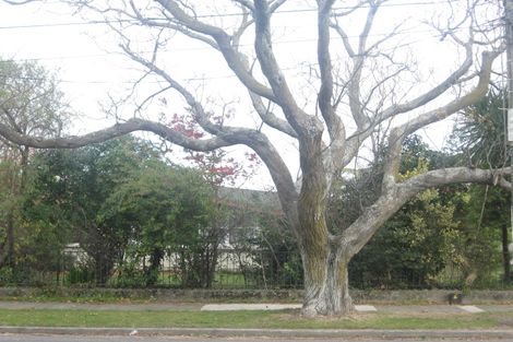 Photo of property in 19 Geddis Avenue, Maraenui, Napier, 4110