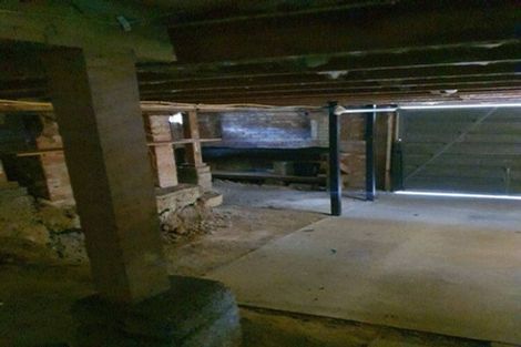 Photo of property in 9 Hinau Street, New Lynn, Auckland, 0600