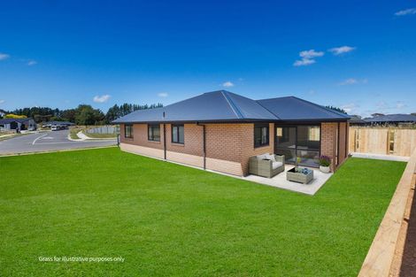 Photo of property in 38 Hereford Street, Marton, 4710