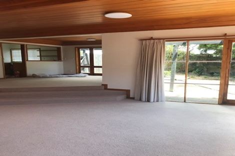 Photo of property in 63a Shelly Beach Road, Saint Marys Bay, Auckland, 1011