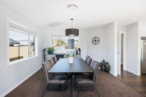 Photo of property in 163a Denbigh Street, Feilding, 4702