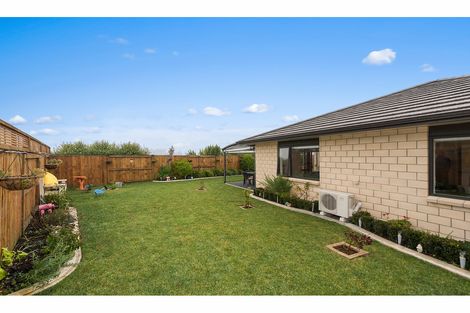 Photo of property in 4 Patatee Terrace, Baverstock, Hamilton, 3200