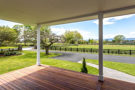 Photo of property in 173 Station Road, Matamata, 3472