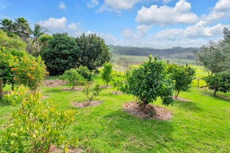 Photo of property in 422 Mclachlan Road, Kaukapakapa, Warkworth, 0984