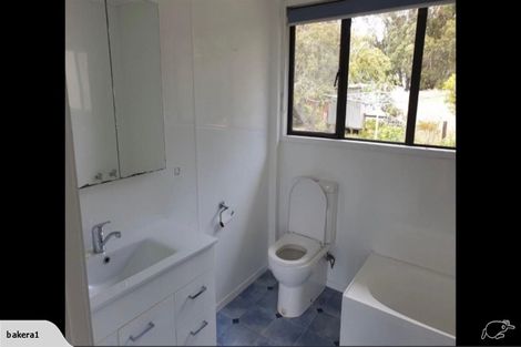 Photo of property in 370 Orini Road, Taupiri, 3792