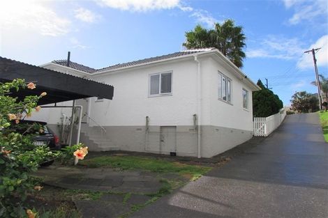 Photo of property in 51 Rogan Street, Mount Roskill, Auckland, 1041