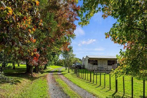 Photo of property in 248 Blackbridge Road, Dairy Flat, Albany, 0794