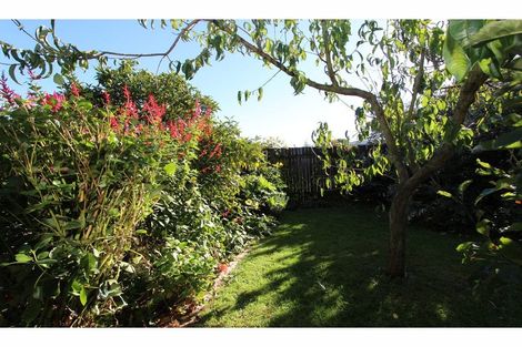 Photo of property in 21 Shirtliff Street, Riversdale, Blenheim, 7201
