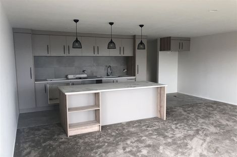 Photo of property in 8 Puhakehake Place, Flat Bush, Auckland, 2019