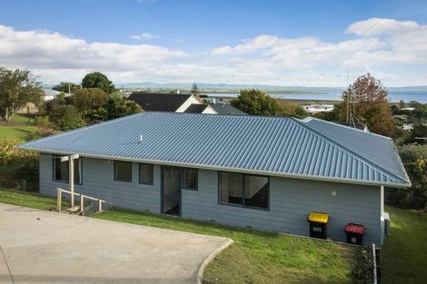 Photo of property in 107 Danby Street, Thames, 3500