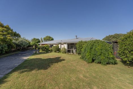 Photo of property in 19 Springbok Avenue, Whitianga, 3510