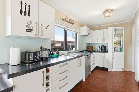 Photo of property in 52 Treadwell Street, Springvale, Whanganui, 4501