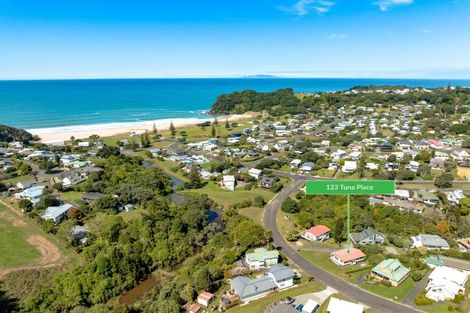 Photo of property in 123 Tuna Place, Onemana, Whangamata, 3691