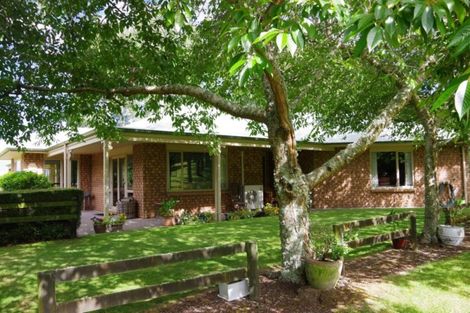 Photo of property in 141 Palmer Mill Road, Wairakei, Taupo, 3384