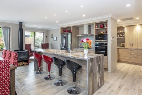 Photo of property in 2 Bonecrusher Street, Lincoln, 7608