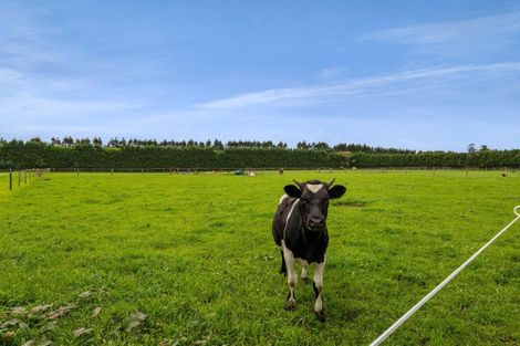 Photo of property in 50a Richmond Road, Brixton, New Plymouth, 4373