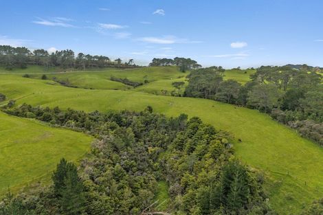 Photo of property in 309 Opanake Road, Parore, Dargaville, 0372