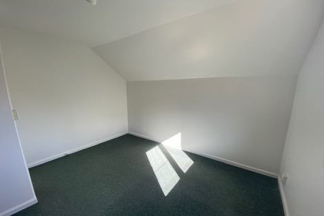 Photo of property in 100 Elizabeth Street, Mount Victoria, Wellington, 6011