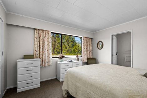 Photo of property in 339 Dunstan Road, Alexandra, 9391