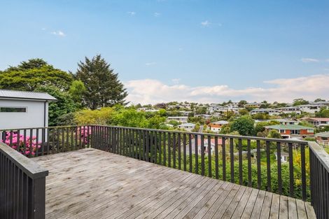 Photo of property in 250 Helensburgh Road, Helensburgh, Dunedin, 9010