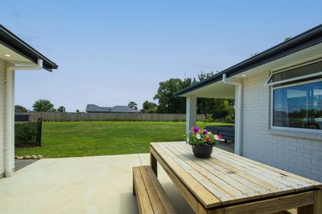 Photo of property in 7 Fairview Place, Levin, 5510