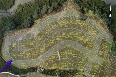 Photo of property in 12 Omahuru Road, Glenbrook, Waiuku, 2681