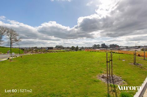 Photo of property in 5 Anurangi Rise, Peacocke, 3206