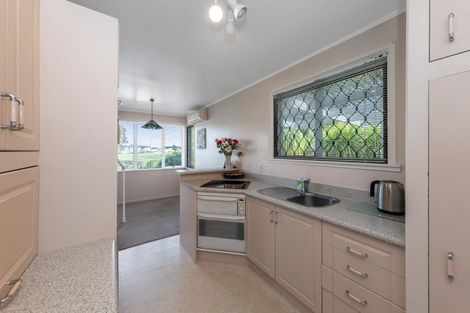 Photo of property in 16 Alamein Terrace, Mount Albert, Auckland, 1025