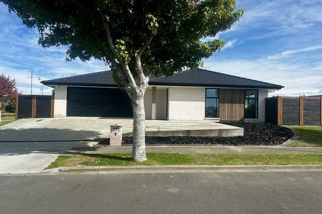 Photo of property in 1 Waireka Street, Pegasus, 7612