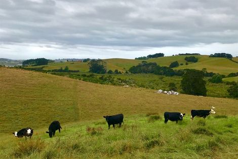 Photo of property in 321 Hepburn Creek Road, Warkworth, 0981