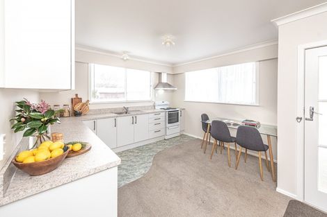 Photo of property in 51c Nixon Street, Whanganui East, Whanganui, 4500