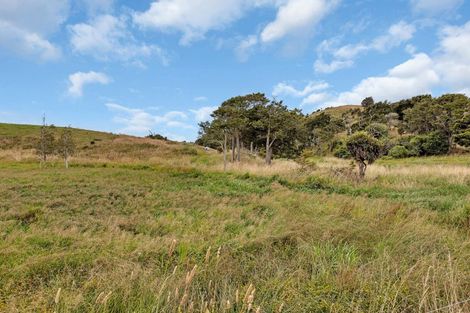 Photo of property in 1754 Ararua Road, Ararua, Matakohe, 0594