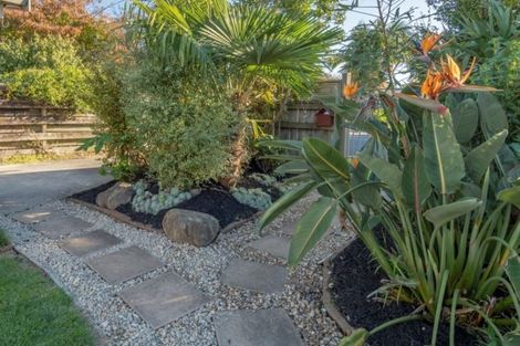 Photo of property in 65a Queen Road, Bellevue, Tauranga, 3110