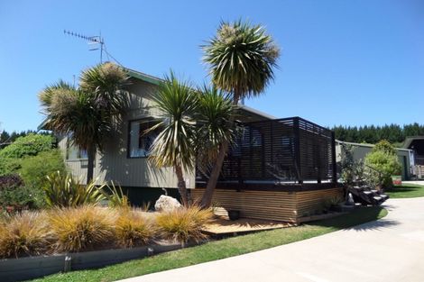 Photo of property in 65 Parekaawa Drive, Motuoapa, Turangi, 3382