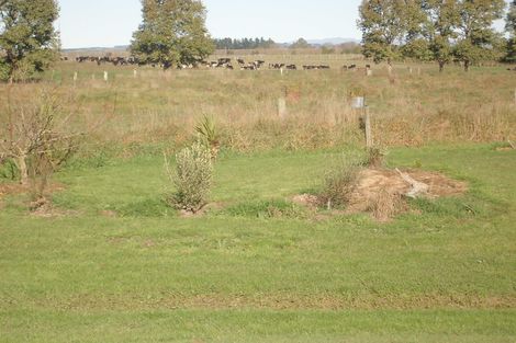 Photo of property in 323 Main Waitohi Road, Waitohi, Temuka, 7985