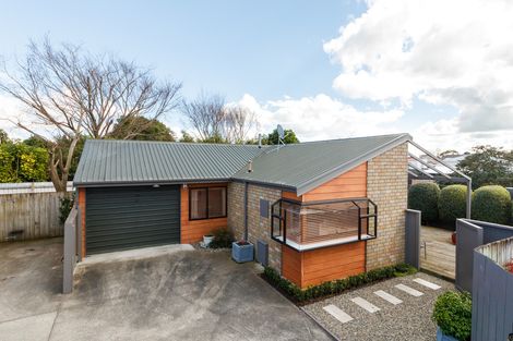 Photo of property in 30a Campbell Street, Palmerston North, 4410