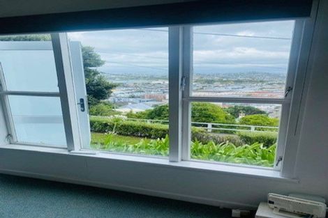 Photo of property in 14 Imperial Terrace, Melrose, Wellington, 6022