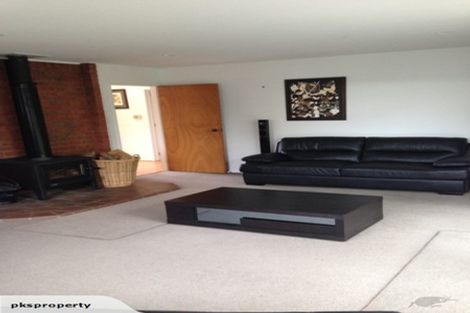 Photo of property in 53a Opawa Road, Waltham, Christchurch, 8023