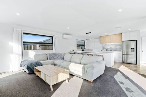Photo of property in 117 Ed Hillary Drive, Rolleston, 7615