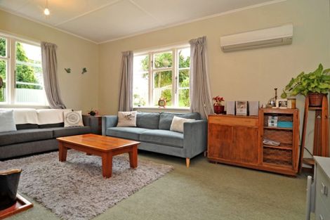Photo of property in 46 Panmure Avenue, Calton Hill, Dunedin, 9012
