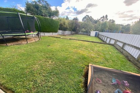 Photo of property in 58 Lewin Street, Balclutha, 9230