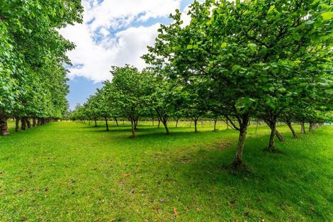 Photo of property in 120 Summerleaze Road, Pareora West, Timaru, 7971